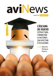 2019 aviNews España Octubre