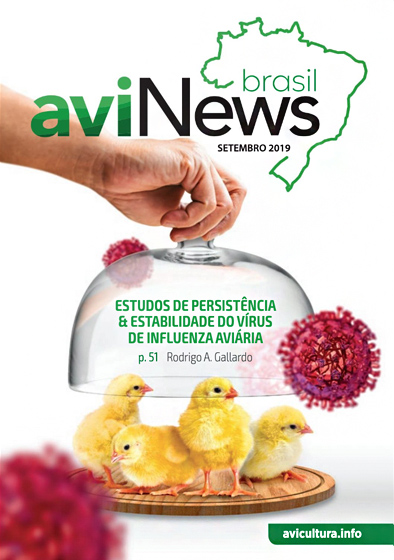aviNews Brasil Setembro de 2019