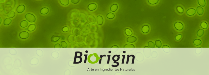 biorigin antibióticos beta glucanos