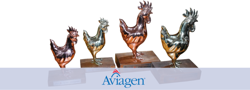 Aviagen® lança a primeira premiação de resultados de matrizes no Brasil