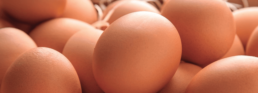 Eficiencia & Rentabilidad en gallinas ponedoras. Optimización de huevos vendibles
