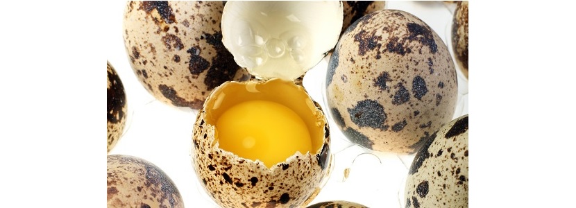 Huevos de codornices enriquecidos con Omega 3, ¿una realidad?
