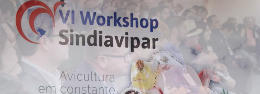 Workshop Sindiavipar