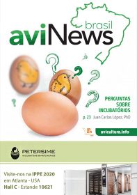 aviNews Brasil Dezembro de 2019