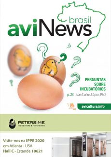 aviNews Brasil Dezembro de 2019 