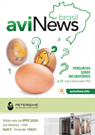 aviNews Brasil Dezembro de 2019