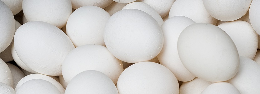 Alta demanda interna de huevos reduce las exportaciones en enero en Brasil