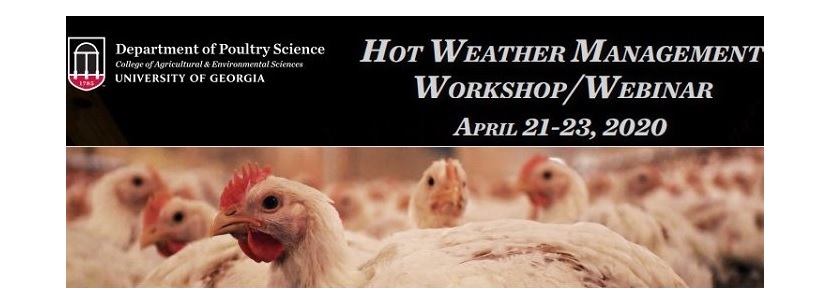 Workshop/Webinar: Manejo de galpones avícolas en climas cálidos UGA 2020