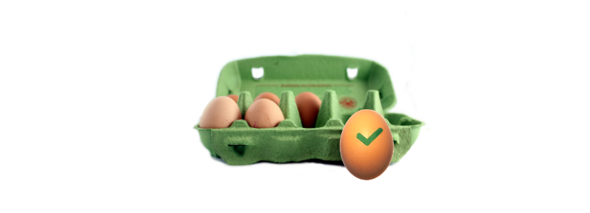 Certificacao Certificadora Qualidade de Ovos RS