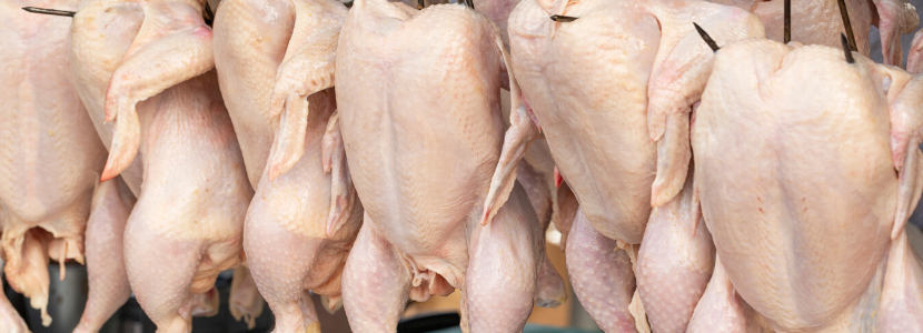 exportações carne de frango aditivos