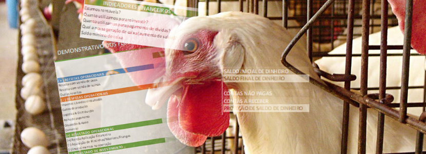 fluxo de caixa