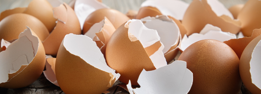 Pesquisadores produzem plástico ecológico a partir da casca do ovo