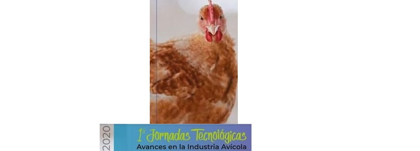 argentina-suspendida-jornada-avances-industria-avicola-coronavirus