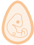 alimentação perinatal nutrição in ovo