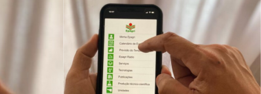 Epagri atendimento remoto