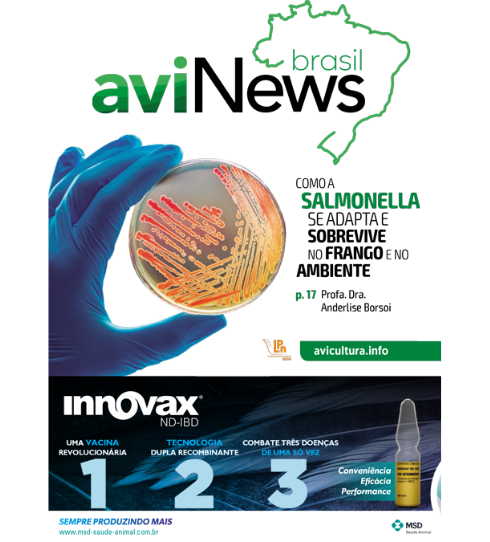 aviNews Brasil Março 2020