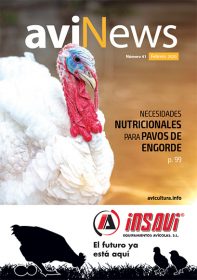 aviNews Brasil 1TRI 2025