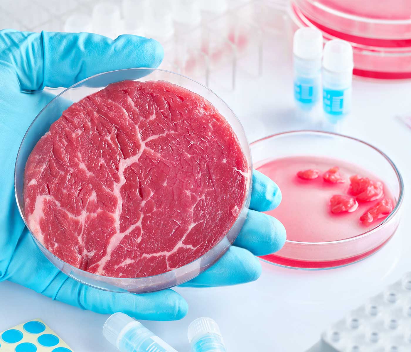 Carne de laboratorio, ¿es tan natural?