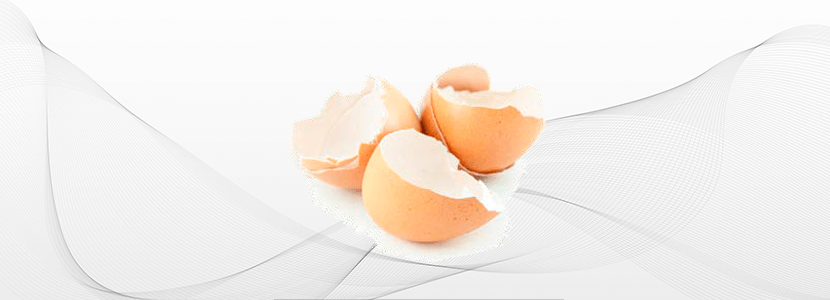 Factores que afectan a la calidad de la cáscara del huevo