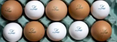 Iamgen Revista Jumbo Supermarket selling “Respeggt” eggs
