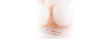 Imagen Revista Incubation with manual measurements of eggshell temperature