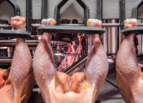 Namibia suspends poultry imports from USA and Ukraine
