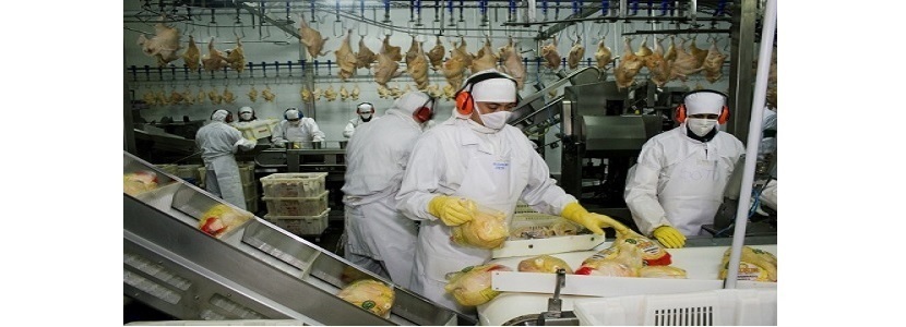 industria-avícola-argentina-caen-exportaciones-carne-ave