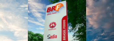 brf arábia saudita