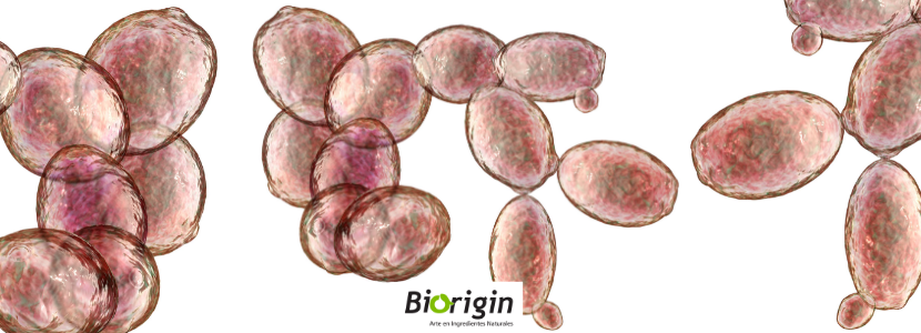 Biorigin promueve la nutrición animal de calidad con un enfoque en la salud y el bienestar