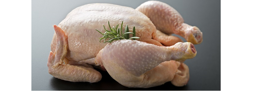 Día Mundial de la Carne de Pollo: Se celebró el 10 de mayo 2020 - aviNews,  la revista global de avicultura