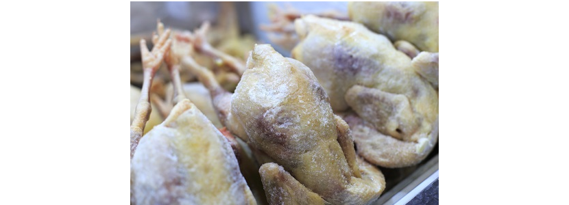 Avicultores dominicanos: Acumulación de pollos por baja demanda
