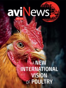 AviNews International June 2025