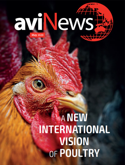 aviNews, a New International Vision of Poultry