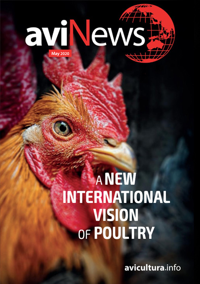 aviNews, a New International Vision of Poultry 