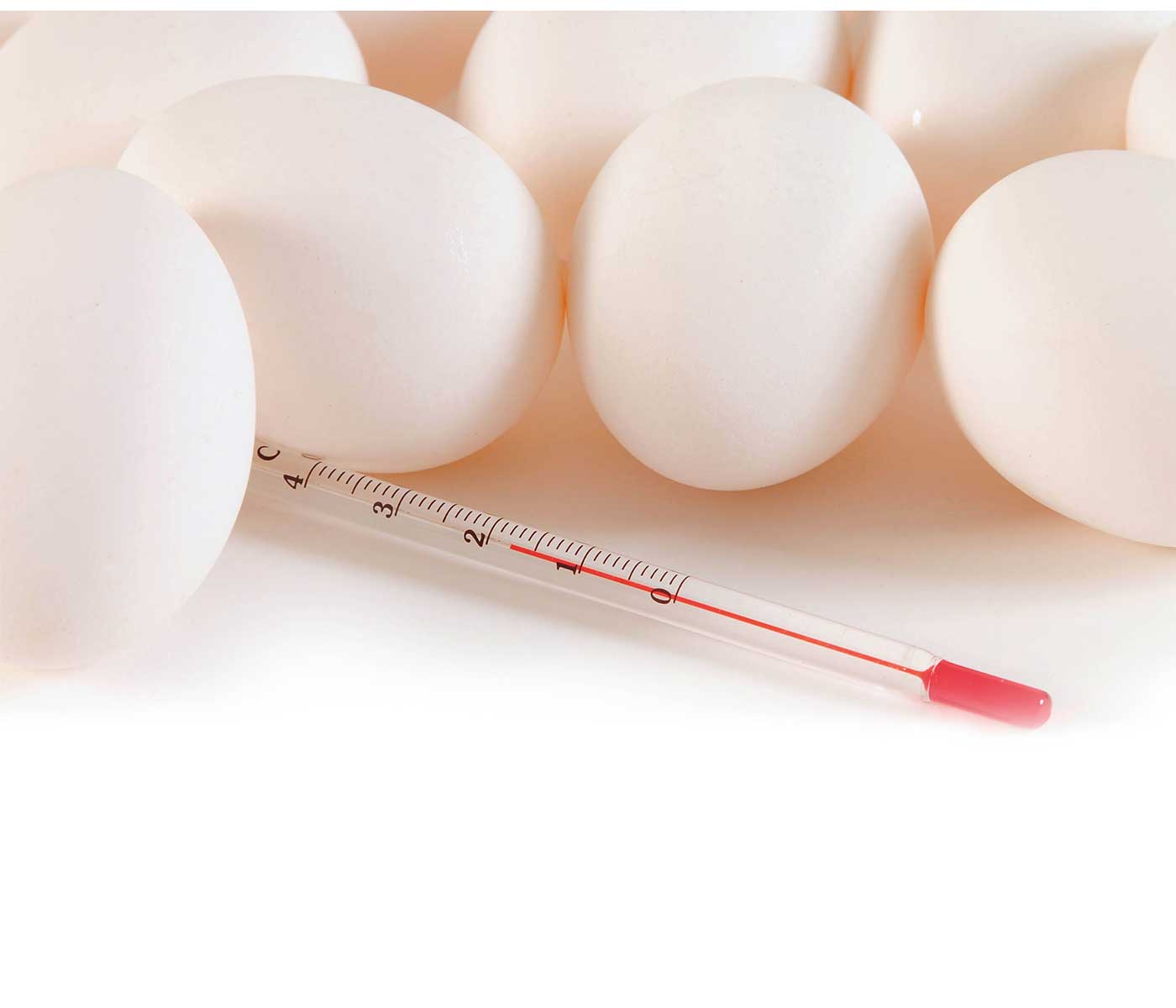 Incubación con mediciones manuales de la temperatura de la cáscara del huevo