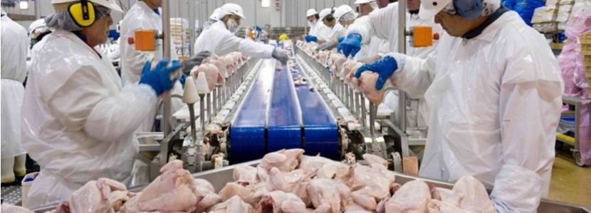 Brasil: Exportaciones de carne de pollo crecen 4,9% en 2020 - aviNews, la  revista global de avicultura