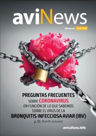 aviNews Brasil 1TRI 2025