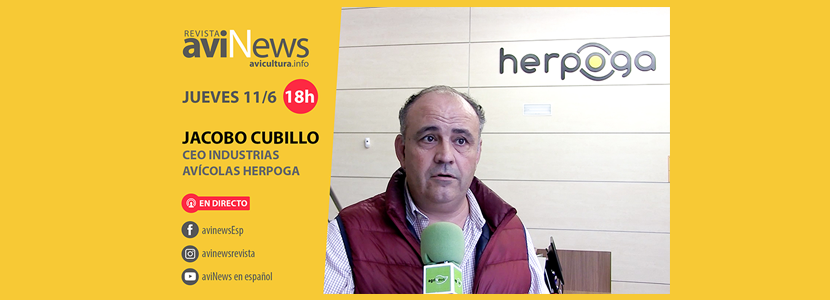 Revive la entrevista en directo a Jacobo Cubillo, CEO de HERPOGA