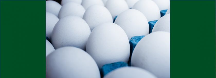 calidad del huevo