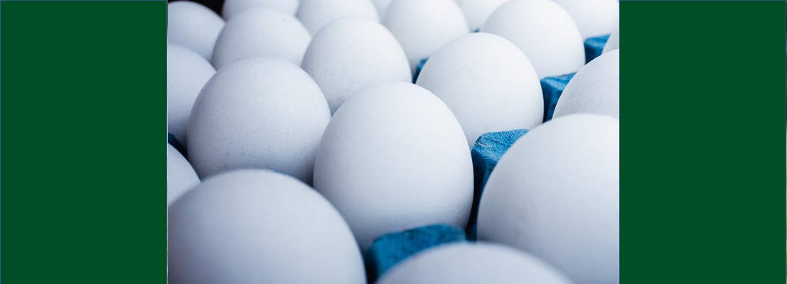 La calidad de los huevos está directamente relacionada con la...