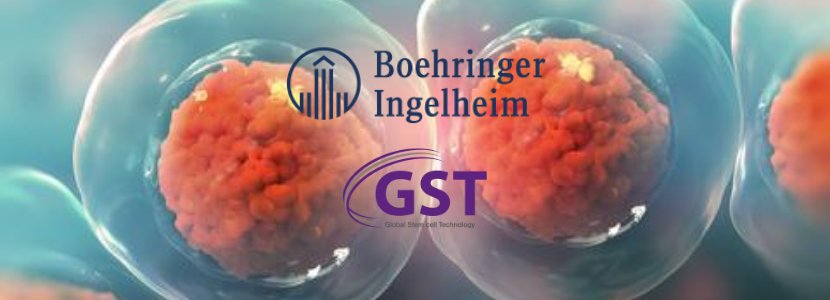 Boehringher GST 