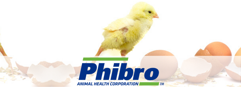 “Força Phibro Biológicos” é o time de especialistas em avicultura da Phibro