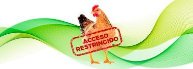 Mayor bioseguridad en granjas avícolas: Restringir acceso