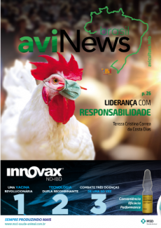 aviNews Brasil Junho 2020 