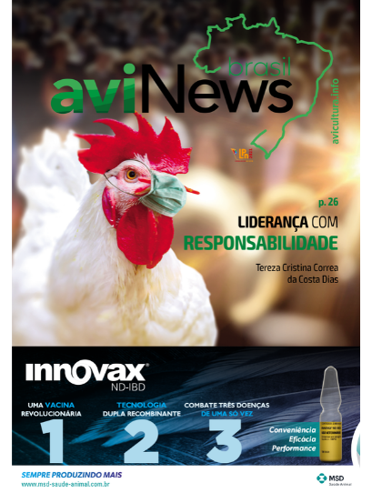 aviNews Brasil Junho 2020