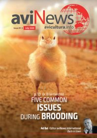 AviNews International June 2025