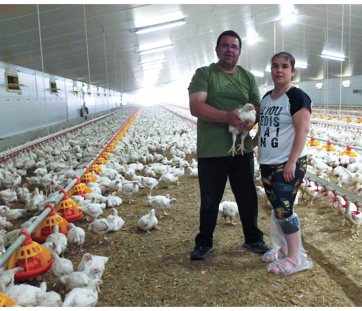 La avicultura como herramienta para la fijación de la población...