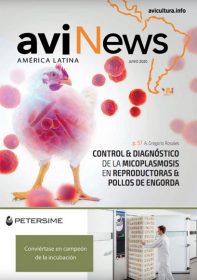 aviNews América Latina Junio 2020