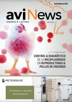 aviNews América Latina Junio 2020 