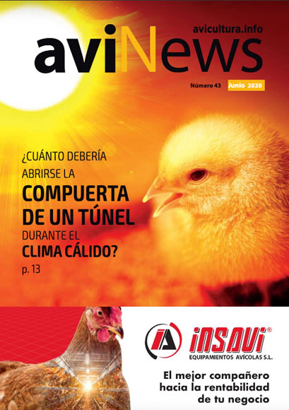 aviNews España Junio 2020 